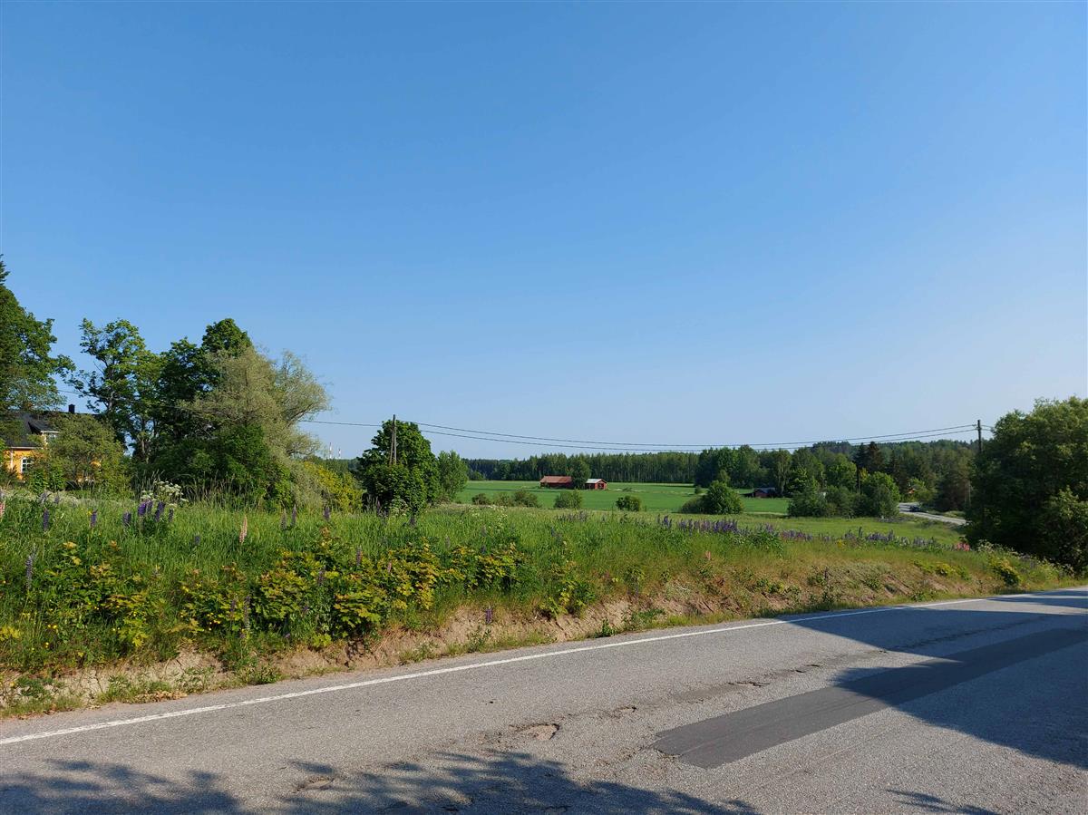 Asikkalan talon kohdalta&nbsp;(Niina Uusi-Seppä&nbsp;2023)
