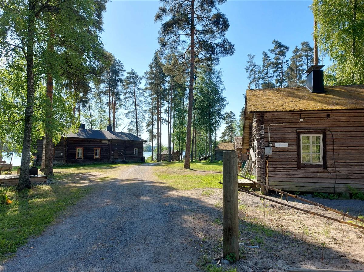 &nbsp;(Niina Uusi-Seppä&nbsp;2023)