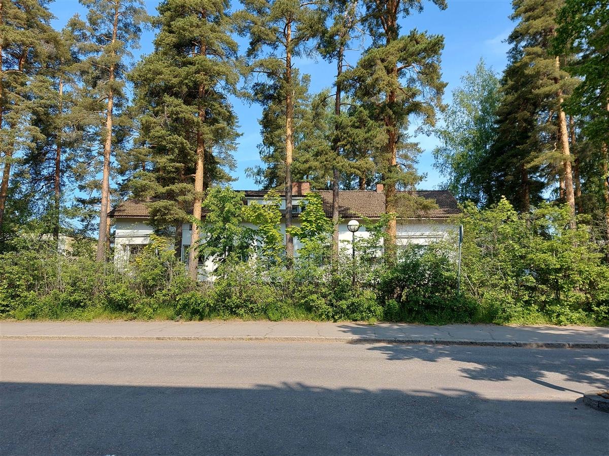 &nbsp;(Niina Uusi-Seppä&nbsp;2023)