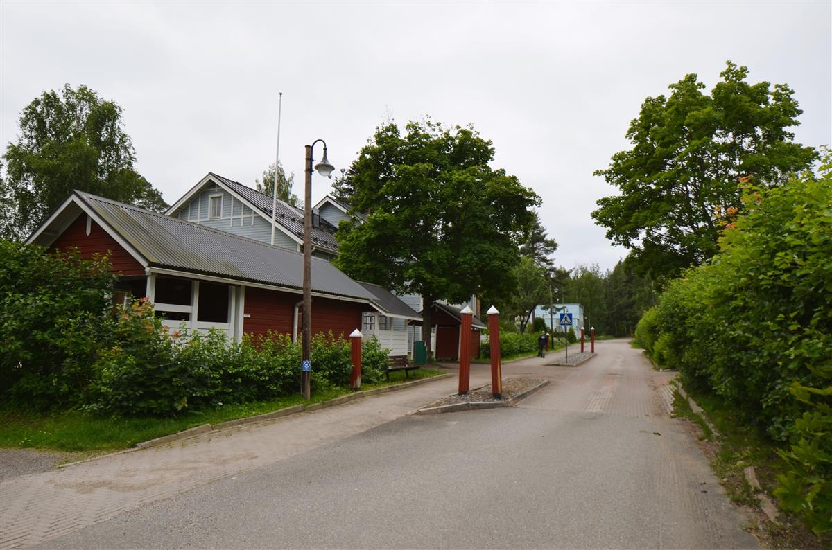 Niskalammen asuntoalue. Näkymä Niskalammenkadulta länteen päin.&nbsp;(Päivi Makkonen&nbsp;2025)