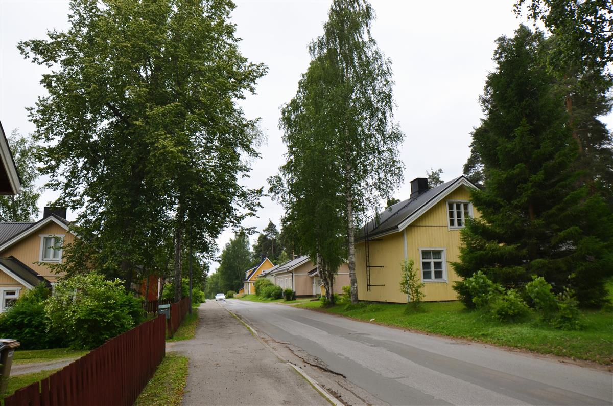 Niskalammen asuntoalue. Näkymä Saimaantieltä etelään päin.&nbsp;(Päivi Makkonen&nbsp;2025)