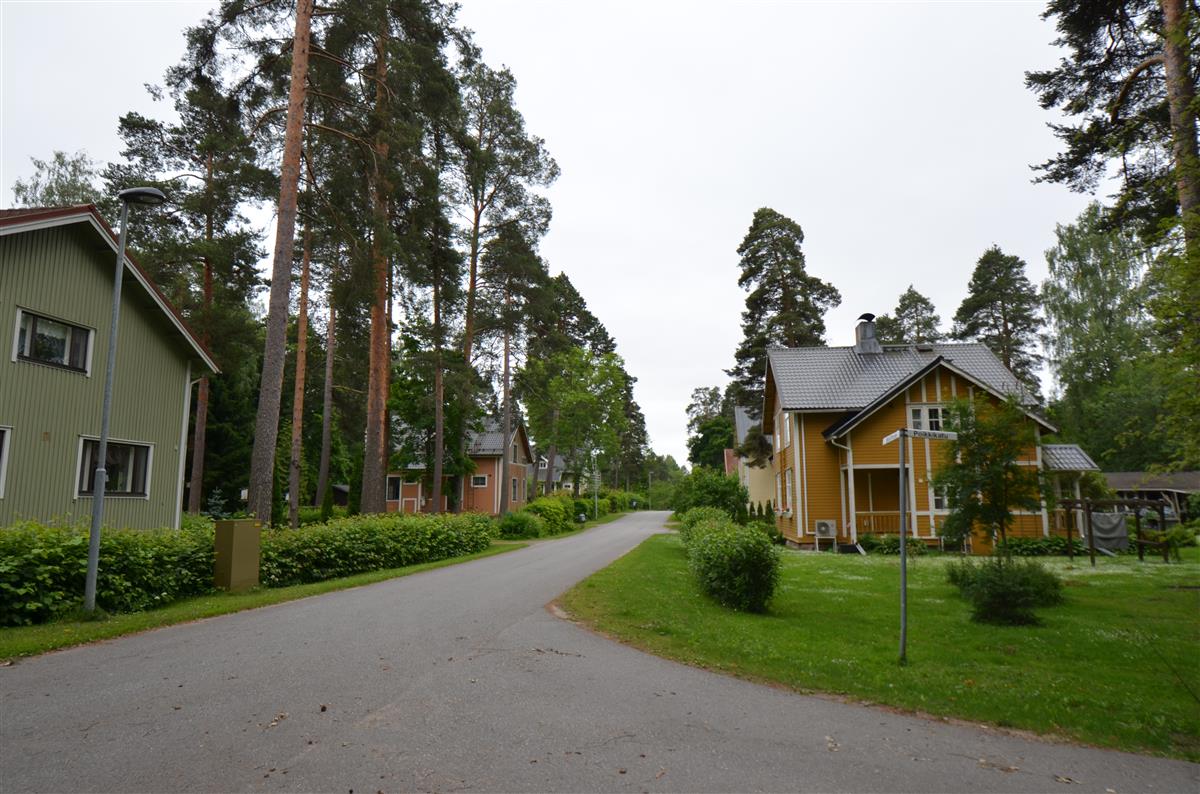 Niskalammen asuntoalue. Näkymä Wolffintien ja Poikkikadun risteyksestä etelään päin.&nbsp;(Päivi Makkonen&nbsp;2025)