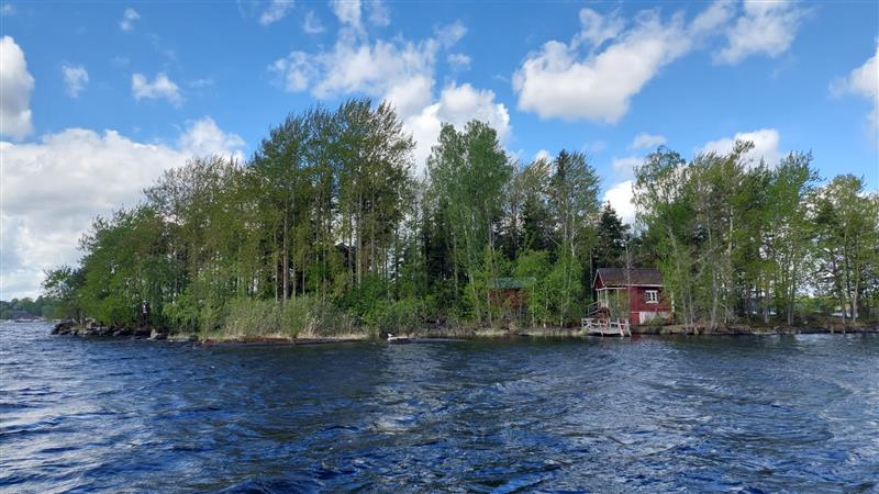 Yleisnäkymä kohti Tuumanninhattua, jossa sauna etualalla ja asuinrakennus puiden katveessa saaren keskellä.&nbsp;(Dan Ronimus&nbsp;5/2022)