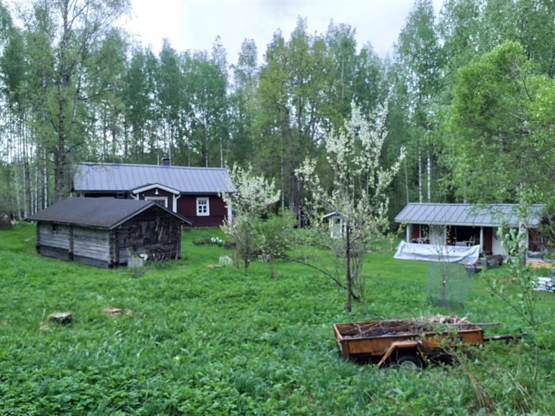 Näkymä kohteen pihapiiriin.&nbsp;(Dan Ronimus&nbsp;5/2022)