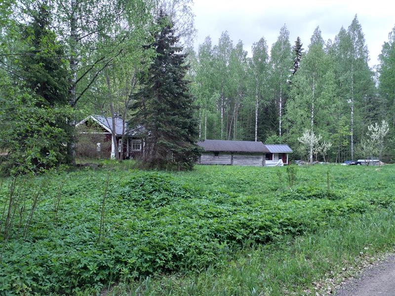 Pihapiirin kaksi aittaa ja niiden viereen sijoittuva asuinrakennus.&nbsp;(Dan Ronimus&nbsp;5/2022)