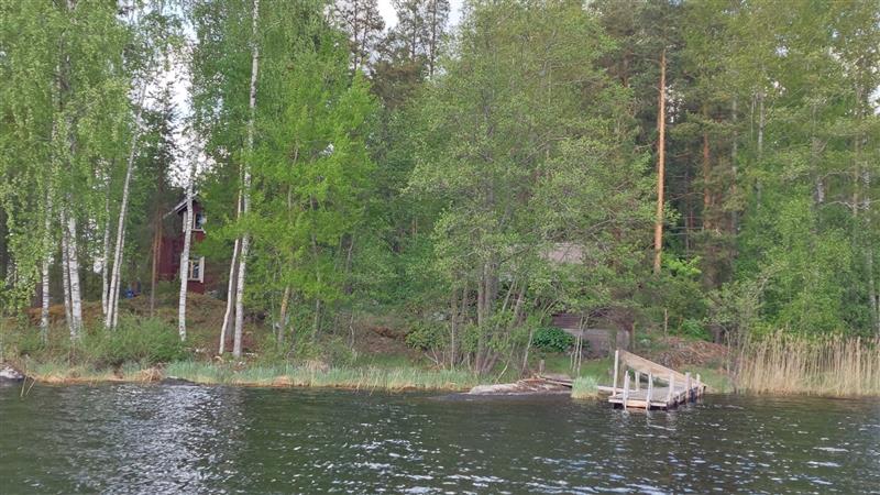 Taustalla asuinrakennus ja etualalla hirsirakenteinen sauna, joka on varsin tavanomainen pakettimainen ratkaisu.&nbsp;(Dan Ronimus&nbsp;5/2022)