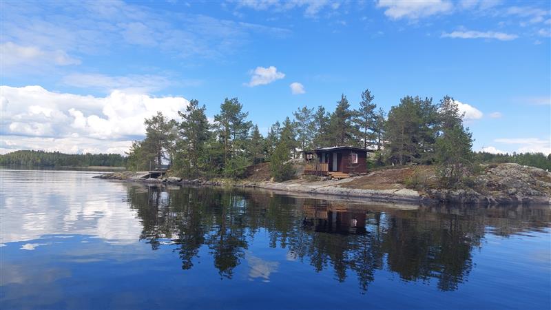 Sauna etualalla ja asuinrakennus taustalla mäntyjen siimeksessä.&nbsp;(Dan Ronimus&nbsp;5/2022)