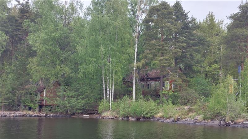 Huonoon kuntoon päässeet sauna (vas.) ja asuinrakennus (oik.) sijaitsevat metsittyneellä tontilla kuitenkin lähes kiinni järvessä.&nbsp;(Dan Ronimus&nbsp;5/2022)