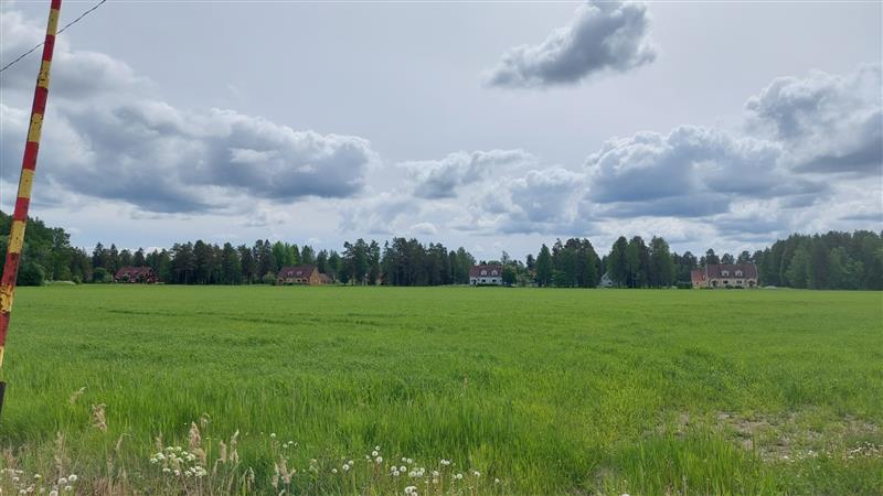 Yleisnäkymä kohti Läykän asuinaluetta.&nbsp;(Dan Ronimus&nbsp;06/2022)