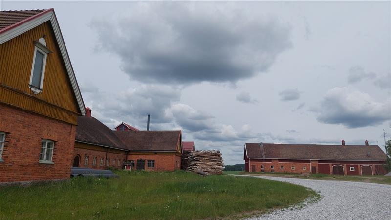 &nbsp;(Dan Ronimus&nbsp;06/2022)