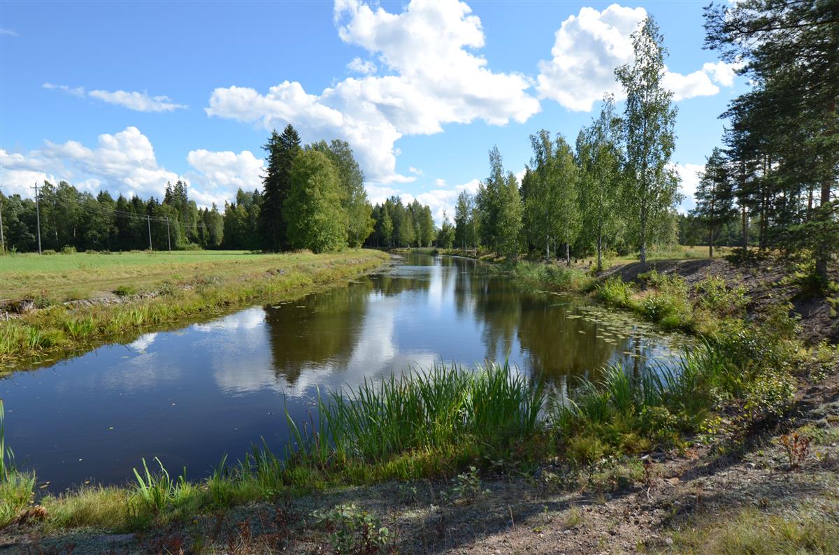 Kansolan vanhan kanavan uomaa etelään päin kuvattuna.&nbsp;(Päivi Makkonen&nbsp;2026)