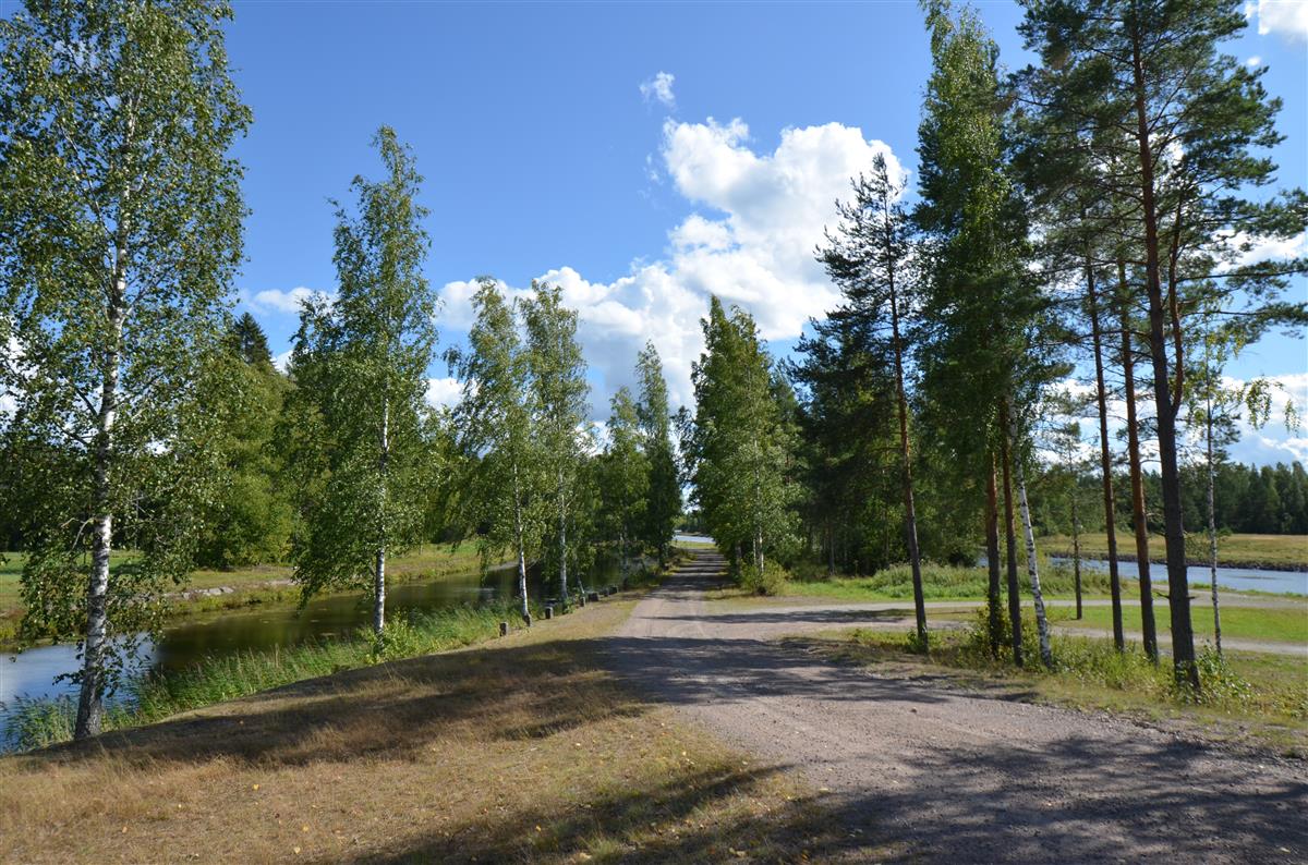 Kansolan vanhan ja uuden kanavan uoman välistä kannasta ja huoltotietä kaakkoon päin kuvattuna.&nbsp;(Päivi Makkonen&nbsp;2026)