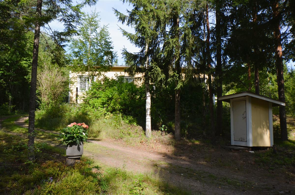 Kesäniementie 71:n, Rantaharju, ajotie ja päärakennus kaakosta päin kuvattuna.&nbsp;(Päivi Makkonen&nbsp;2026)