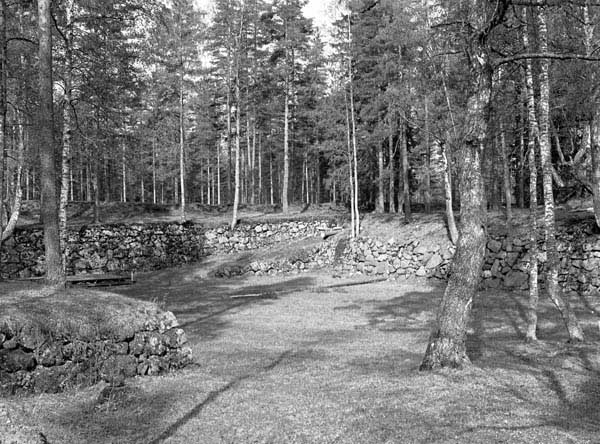 &nbsp;(Arto Hämäläinen&nbsp;1986)