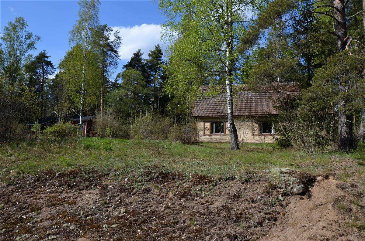 Näkymä Kivitien suunnasta Ekon pihapiiriin. Vasemmalla piharakennus, oikealla päärakennus.&nbsp;(Päivi Makkonen&nbsp;2026)