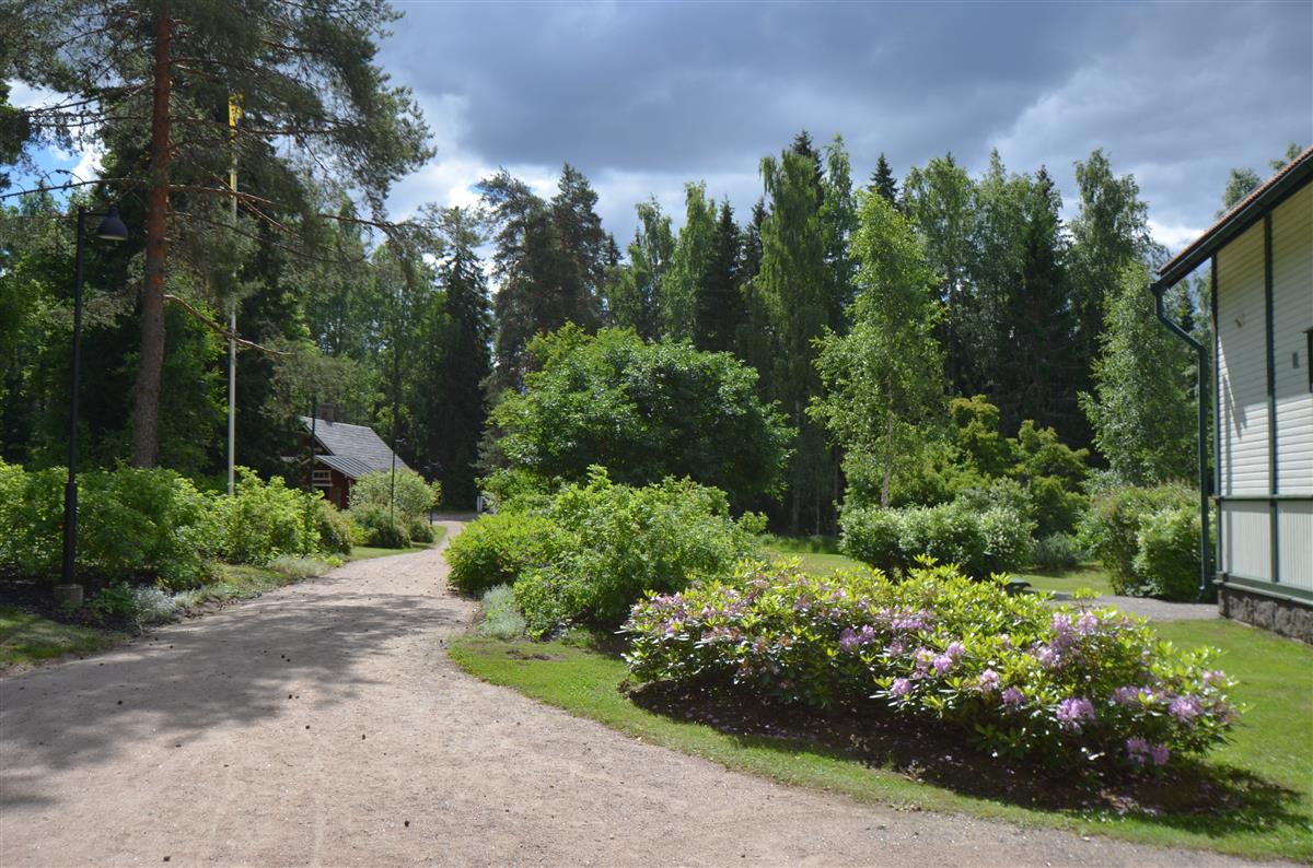 Näkymä Kotkaniemen sisääntulotielle koillisesta päin kuvattuna. Vasemmalla aitat ja renkitupa, oikealla päärakennus.&nbsp;(Päivi Makkonen&nbsp;2026)