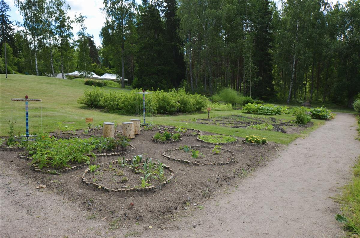 Näkymä hyötypuutarhan luoteiskulmasta kohti kaakkoa.&nbsp;(Päivi Makkonen&nbsp;2026)