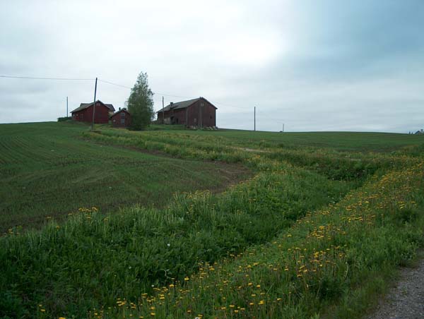 &nbsp;(Pöyry Environment Oy/Matti Veijovuori&nbsp;2007)