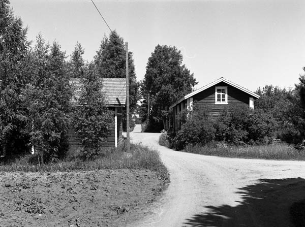 &nbsp;(Arto Hämäläinen&nbsp;1986)