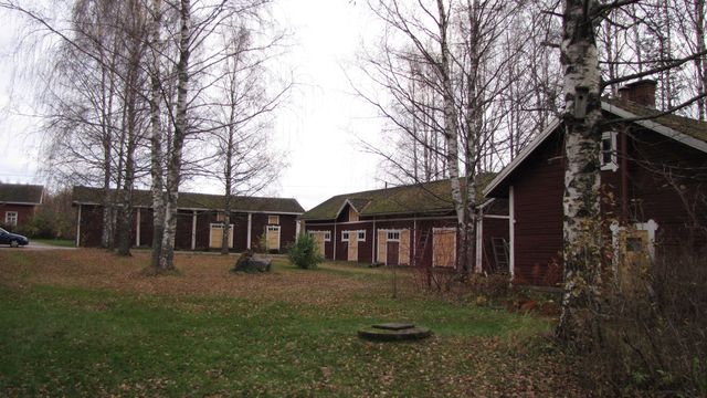 Pihapiiriä.&nbsp;(Niina Ahlfors&nbsp;lokakuu 2012)