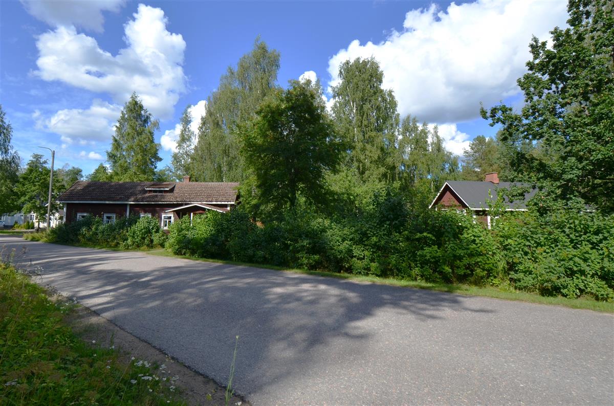 Näkymä Oravaniementieltä kohti Hauta-Ollin mökkiä ja Parikkalan Meijerimuseota.&nbsp;(Päivi Makkonen&nbsp;2025)