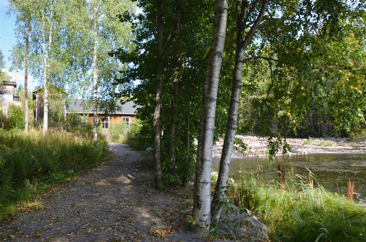 Näkymä Hiitolanjoen länsirannalta kohti koillista ja Lahnasenkosken voimalaitosta.&nbsp;(Päivi Makkonen&nbsp;2026)