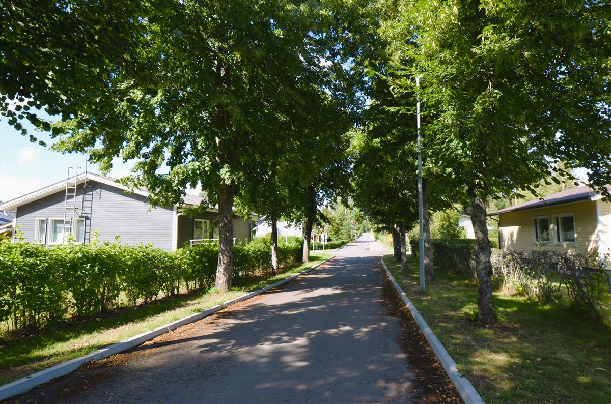Näkymä Lehmuskadulta kohti luodetta ja Harjulankadun risteystä. Vasemmalla Harjulankatu 4, oikealla Harjulankatu 2.&nbsp;(Päivi Makkonen&nbsp;2026)