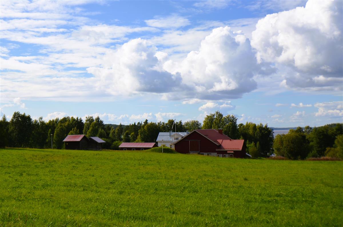 Pätilän hovi Rasilantieltä, idästä päin kuvattuna.&nbsp;(Päivi Makkonen&nbsp;2026)