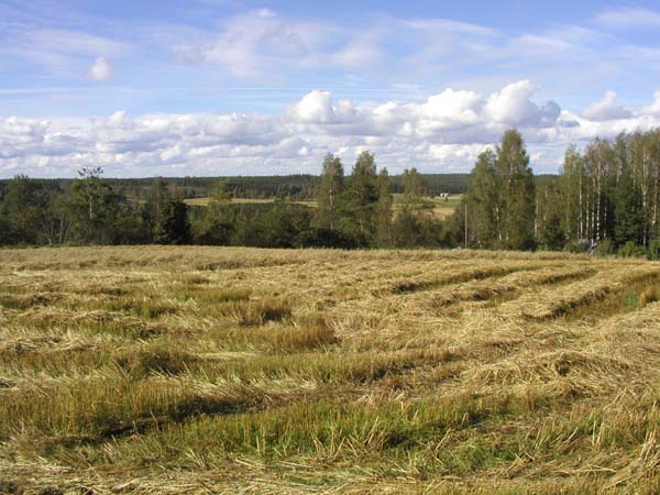 &nbsp;(Pöyry Environment oy/Matti Veijovuori&nbsp;2007)