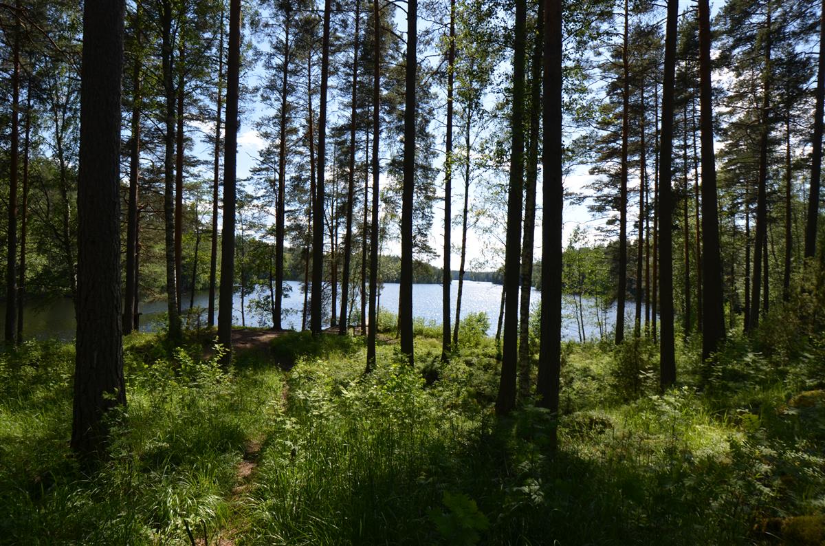 Kärnäkosken lotjasatamaa ja Partakosken Raimlahtea Vuorilaavulta, koillisesta päin kuvattuna.&nbsp;(Päivi Makkonen&nbsp;2025)