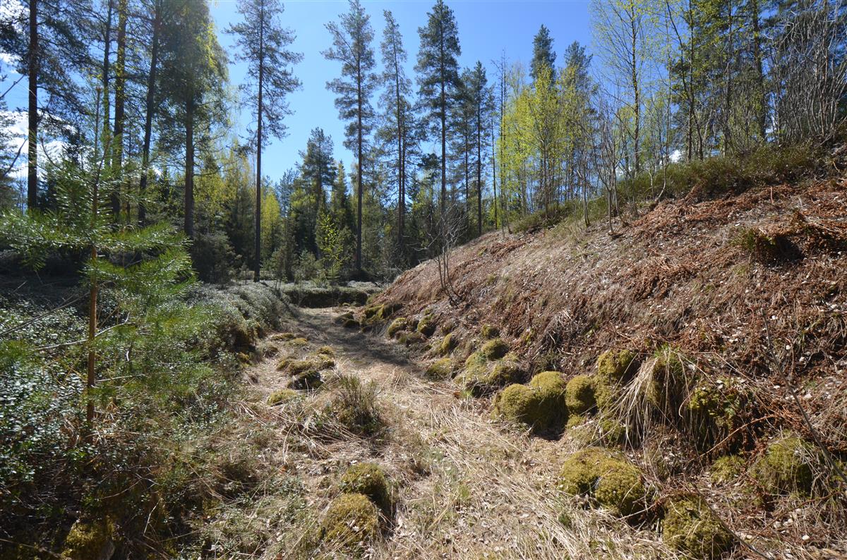 Järvitaipaleen linnoituksen kaakkoisosaa pohjoisesta päin kuvattuna. Taustalla kulkee Tuohikotintie.&nbsp;(Päivi Makkonen&nbsp;2026)