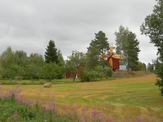 Vanhakartanon pihapiiriä syyskuussa 2010.&nbsp;(Miikka Kurri&nbsp;2010)