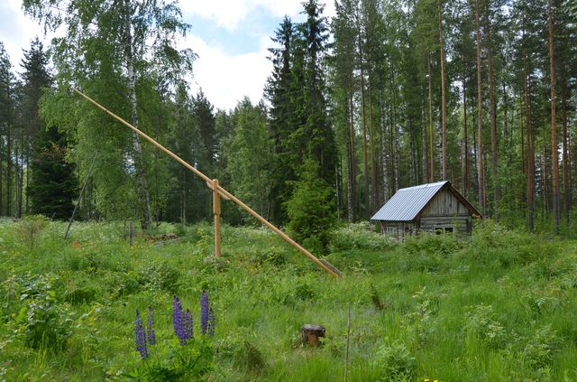 Sauna.&nbsp;(Katri Nousiainen&nbsp;25.6.2015)