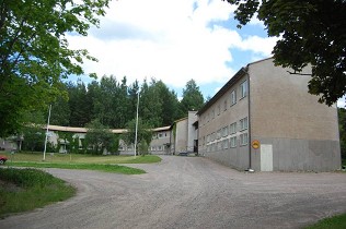Kuva: Tipula&nbsp;(Sinikka Myyrä&nbsp;7.7.2011)