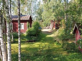 Kuva: &nbsp;(Niina Uusi-Seppä&nbsp;2023)