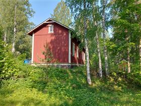 Kuva: &nbsp;(Niina Uusi-Seppä&nbsp;2023)