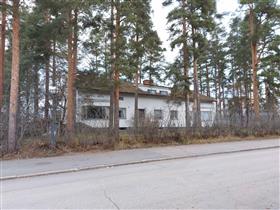 Kuva: &nbsp;(Niina Uusi-Seppä&nbsp;2023)