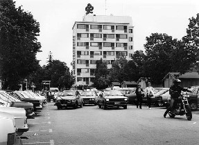 Kuva: &nbsp;(Mikonsaari&nbsp;1983)