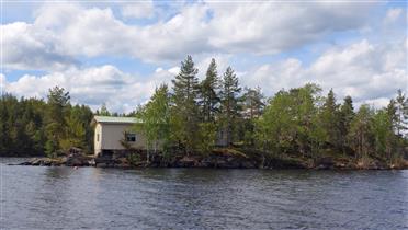 Kuva: Yleisnäkymä kohti Mattisaarta, jolla ei sijaitse juuri muuta kuin inventointikohde. Talousrakennus erottuu asuinrakennuksen yläpuolella puiden seassa.&nbsp;(Dan Ronimus&nbsp;5/2022)
