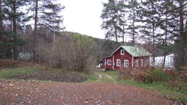 Kuva: Hiekkaranta Uukuniementieltä.&nbsp;(Niina Ahlfors&nbsp;lokakuu 2012)