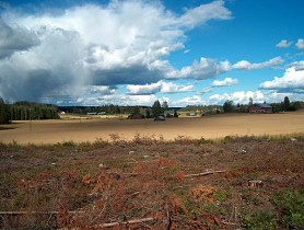 Kuva: &nbsp;(Pöyry Environment Oy/Matti Veijovuori&nbsp;2007)