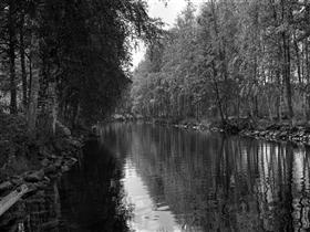 Kuva: &nbsp;(Arto Hämäläinen&nbsp;1986-87)