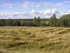 Kuva: &nbsp;(Pöyry Environment oy/Matti Veijovuori&nbsp;2007)