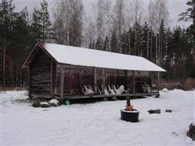 Kuva: &nbsp;(Lauri Putkonen&nbsp;1.11.2012)