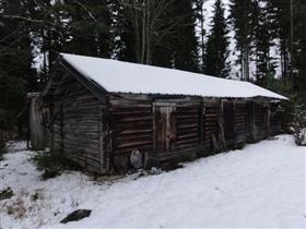 Kuva: &nbsp;(Lauri Putkonen&nbsp;1.11.2012)